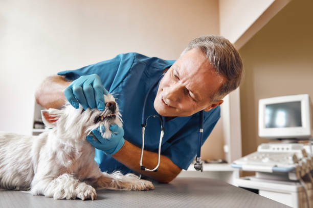 Best Walk-In Emergency Dentist in Euless, TX